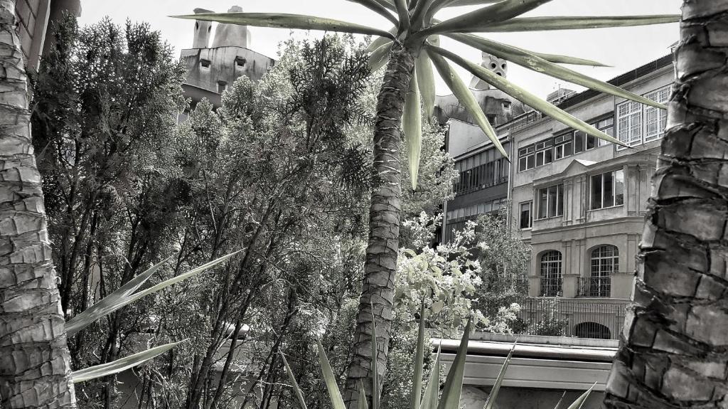 Hotel Hotel Limonaia, Spanien, Barcelona. Großes 15