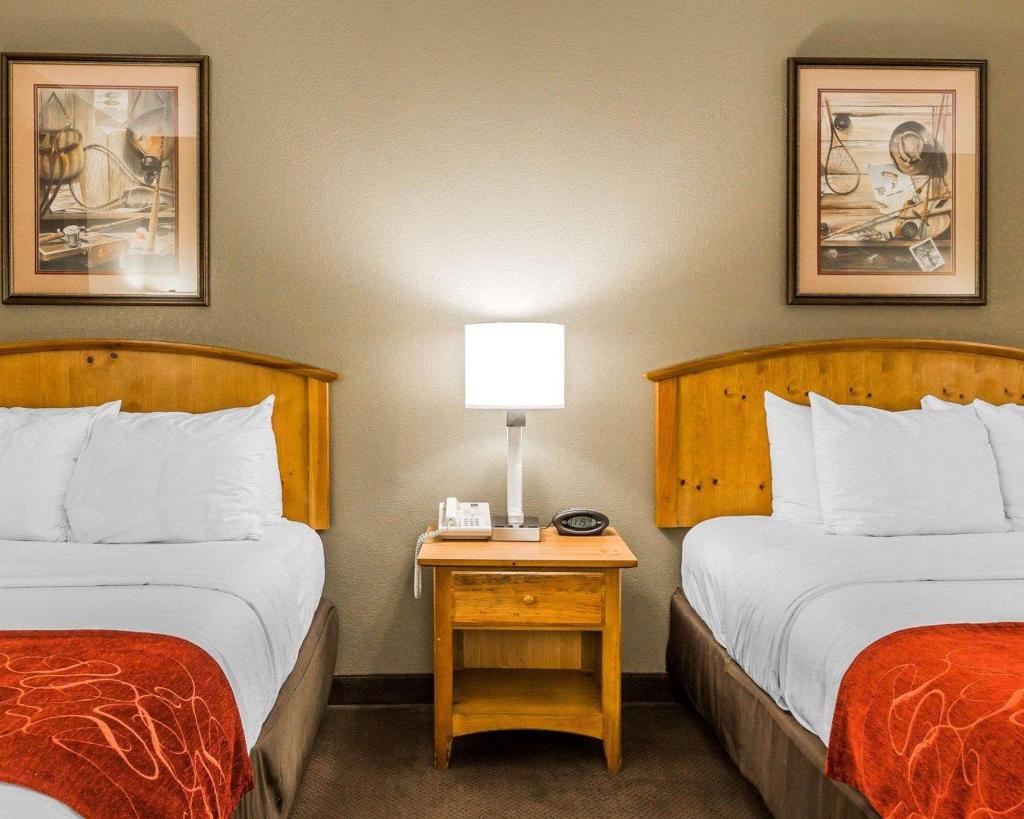 Comfort Suites Boone - University Area