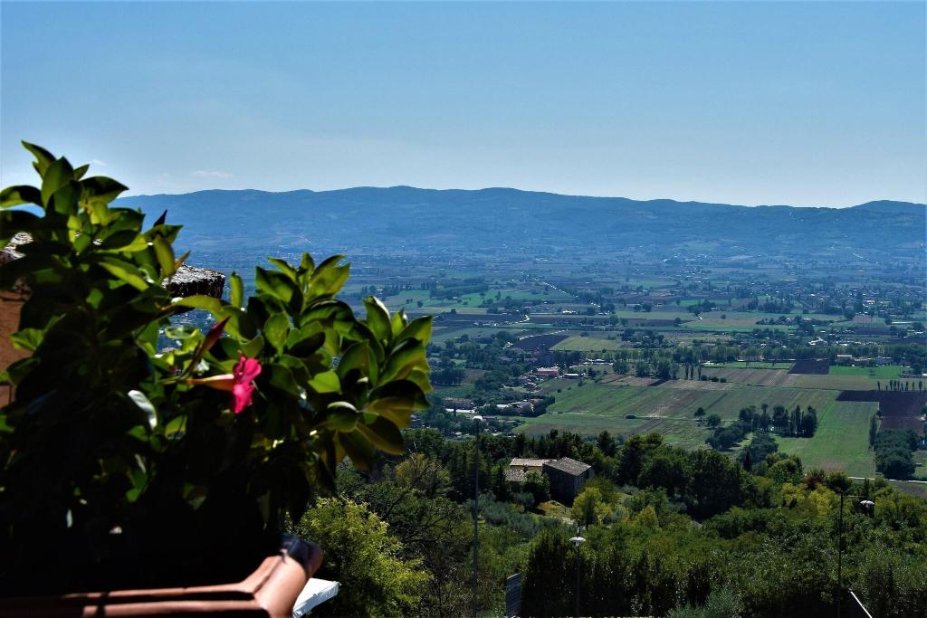 Hotel La Terrazza