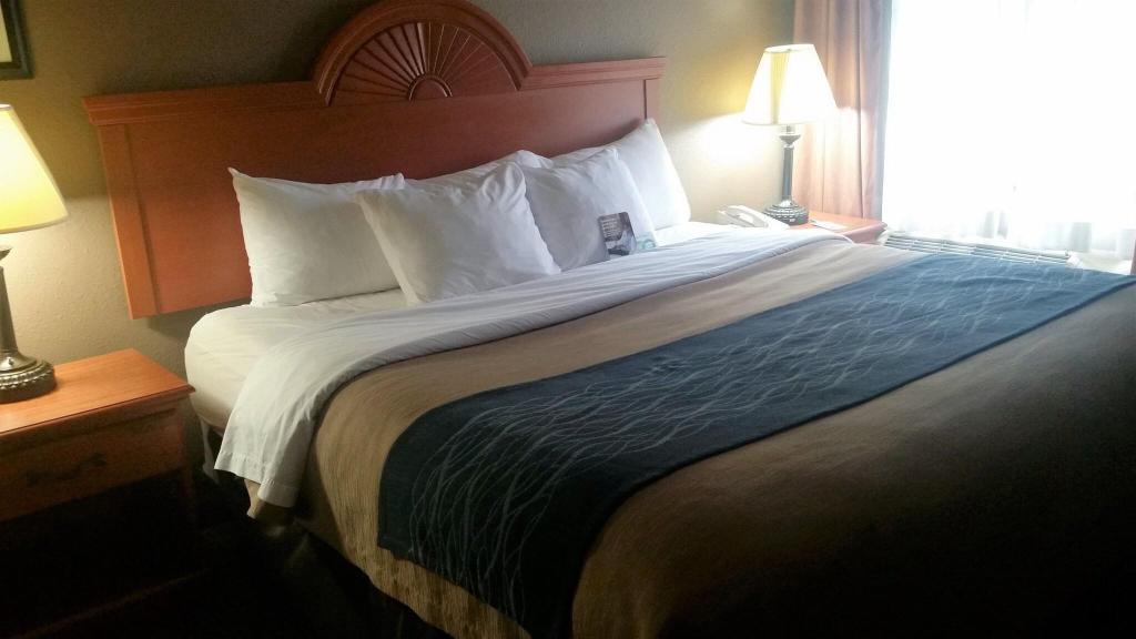 Comfort Inn Kalamazoo Area