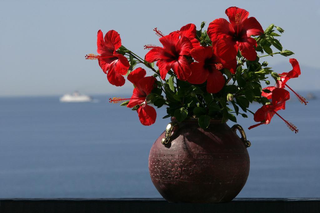 Andros Holiday