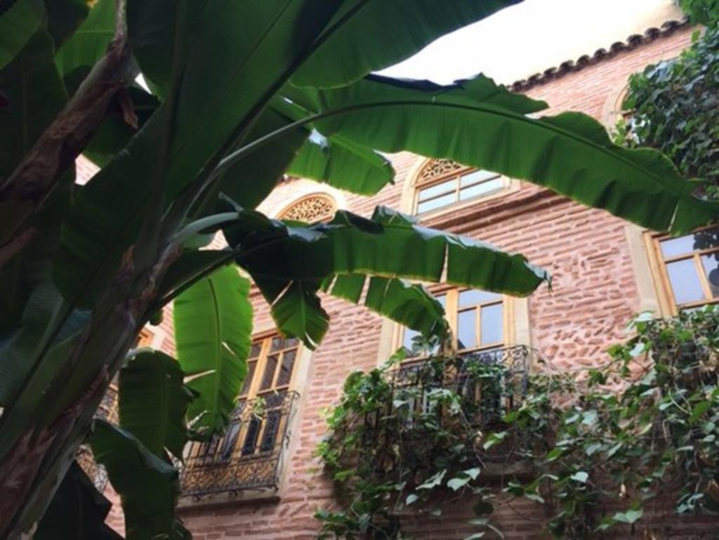 Hotel Riad Dar Bounouar, Marokko, Marrakesch. Großes 2