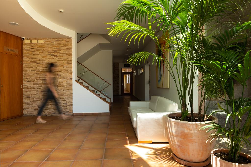 Imagem da galeria de Vila Luz