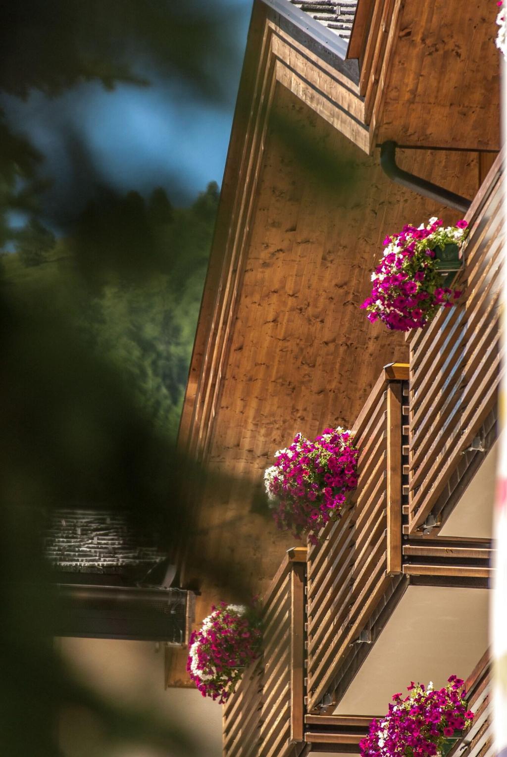 Hotel Lac Salin Spa & Mountain Resort photo 438