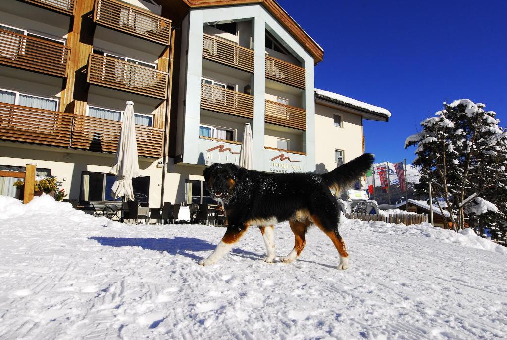 Hotel Lac Salin Spa & Mountain Resort photo 492
