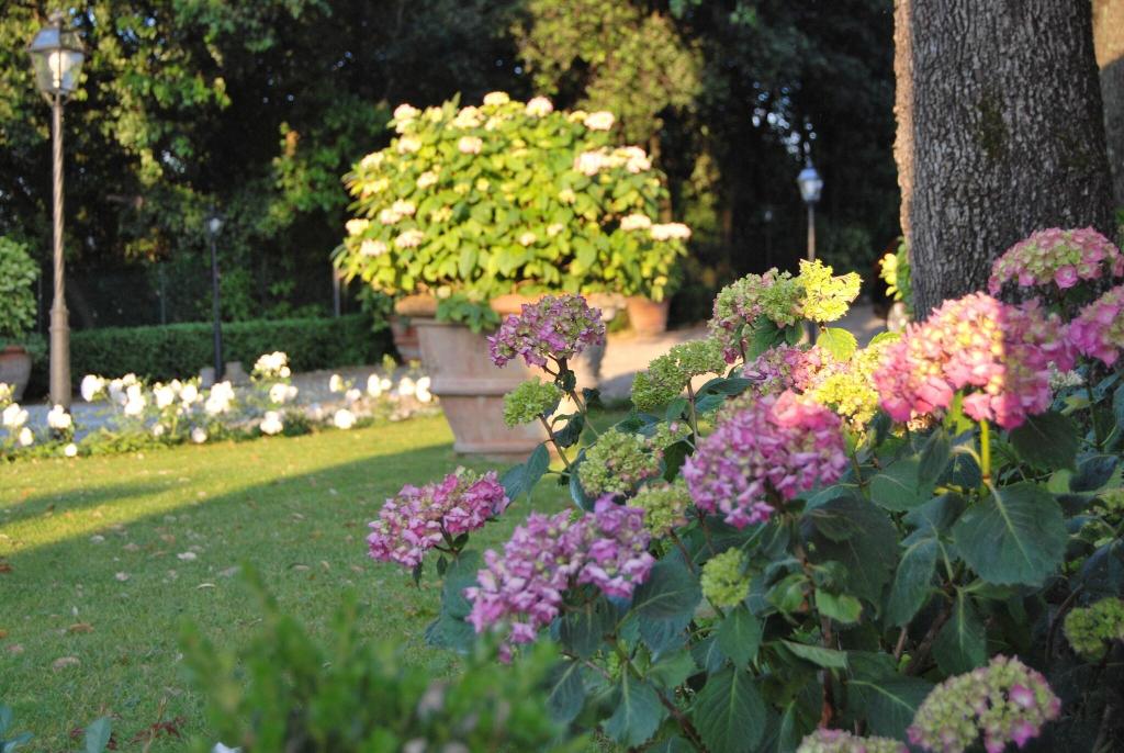 Relais Villa Il Sasso