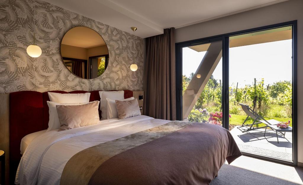 James Vignoble Hotel Eguisheim
