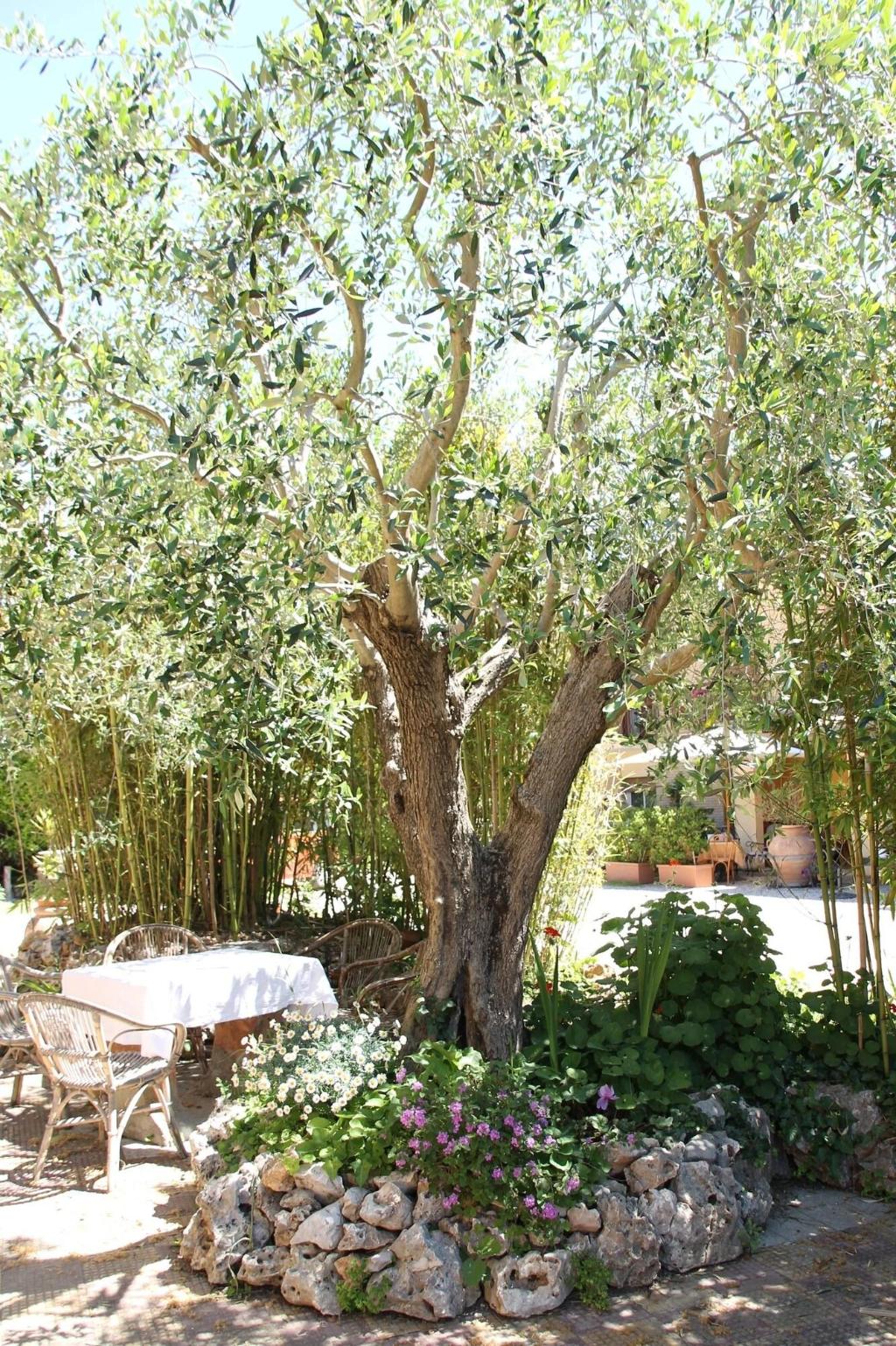 Hotel Tempio Di Apollo