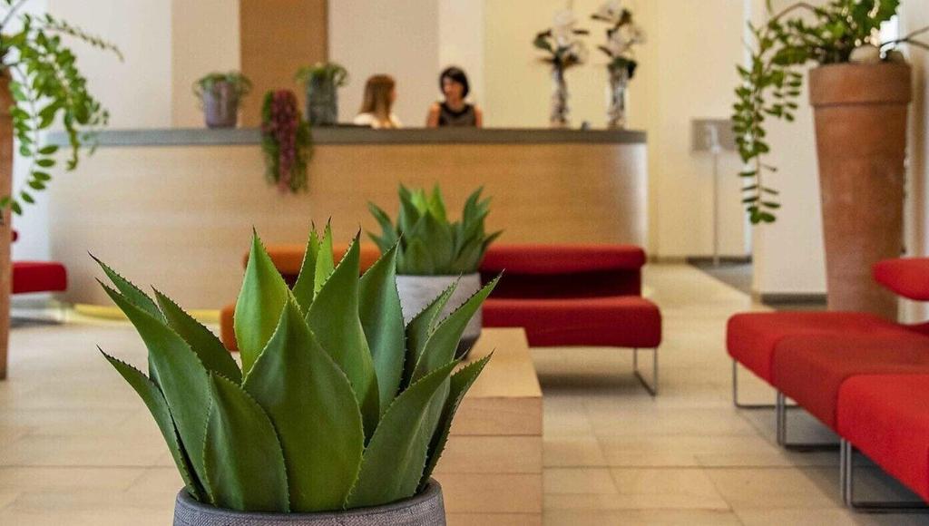 Hotel Remilia photo 33