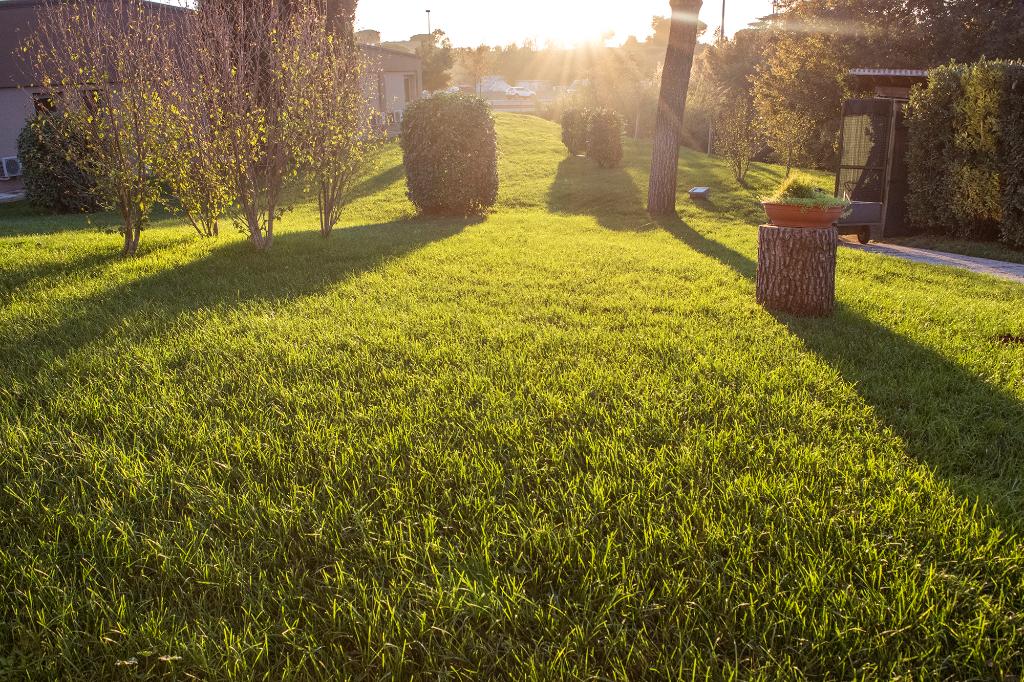 Hotel Hotel Roma Sud, Italien, Frascati. Großes 12