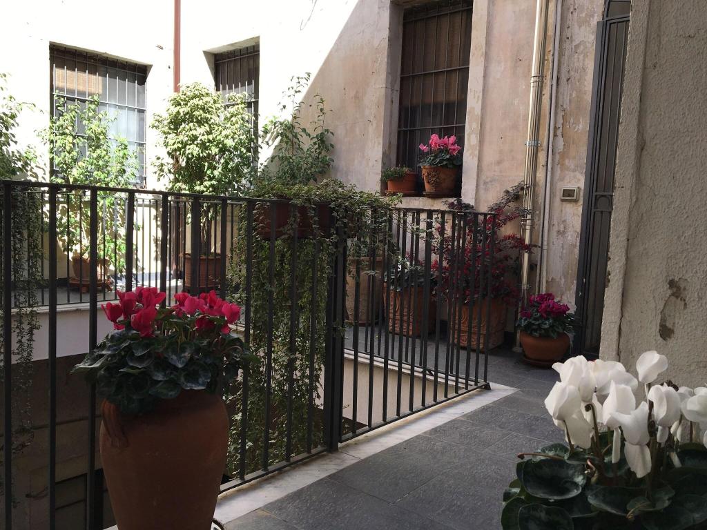 Amenano Bed & Breakfast