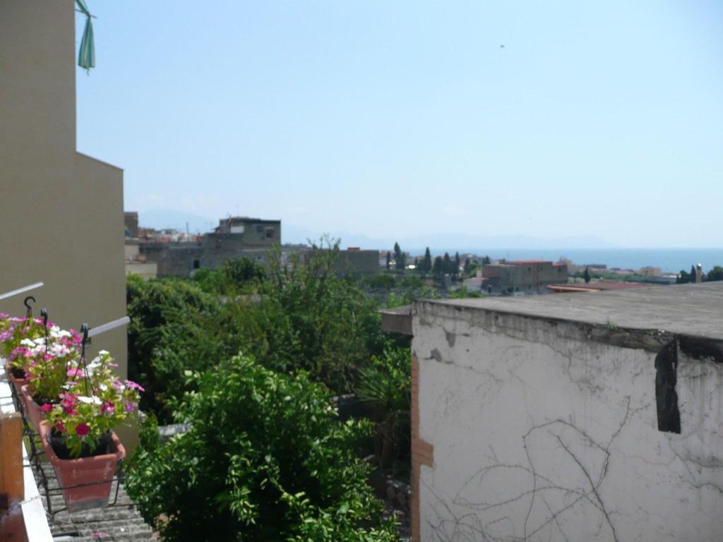 I Papiri