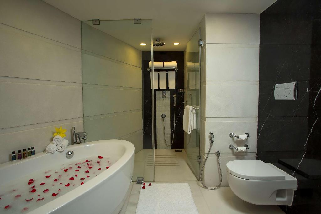 Radisson Blu Hotel Ahmedabad
