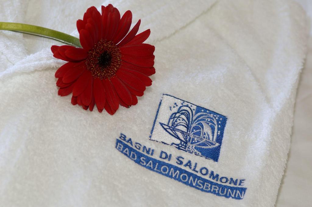 Hotel Bad Salomonsbrunn