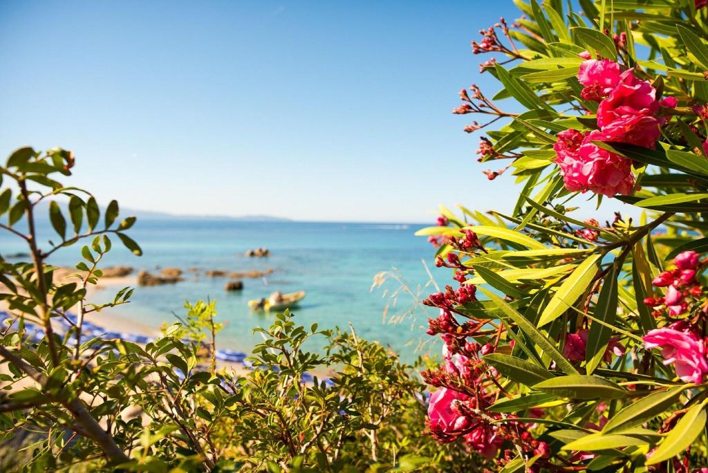 Cala Di Sole