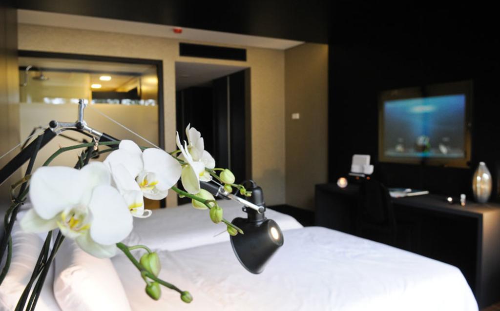 Evidencia Belverde Hotel