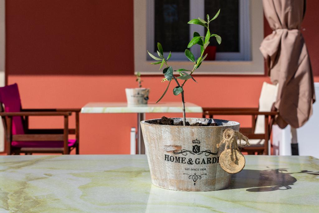 Hotel Pantheon Hotel Tsilivi, Griechenland, Tsilivi. Großes 14