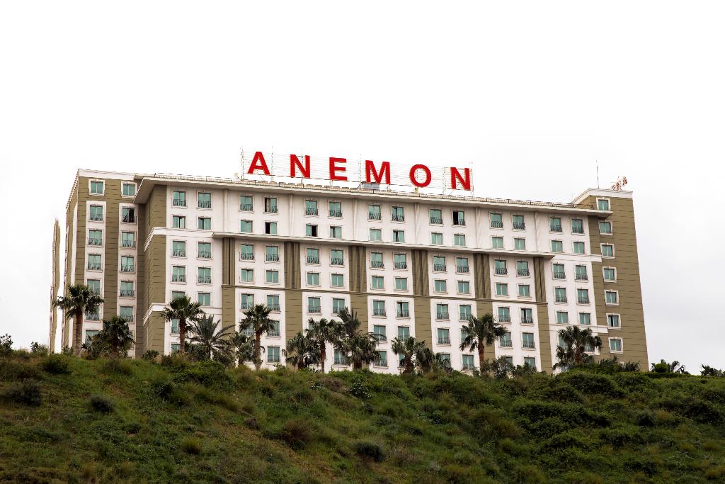 Anemon Iskenderun