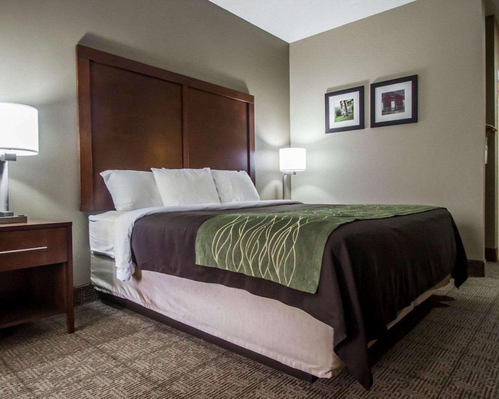 Comfort Inn Amite City