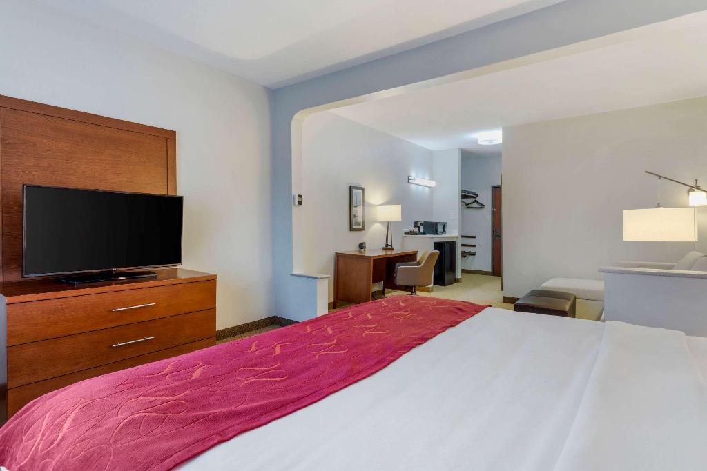 Comfort Suites La Porte