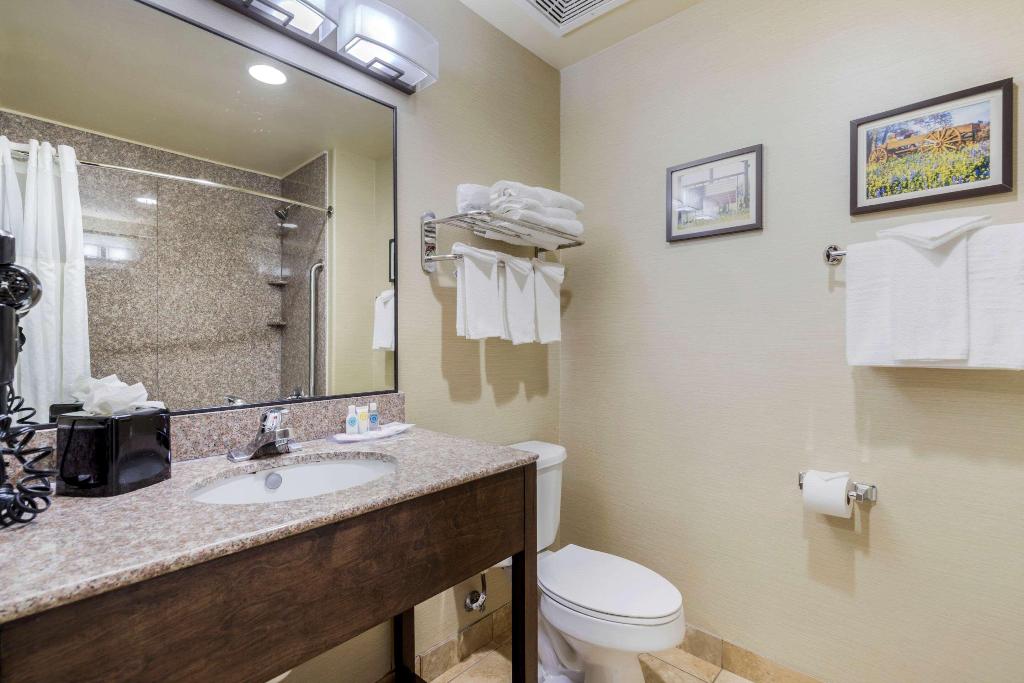 Comfort Suites Pflugerville - Austin North