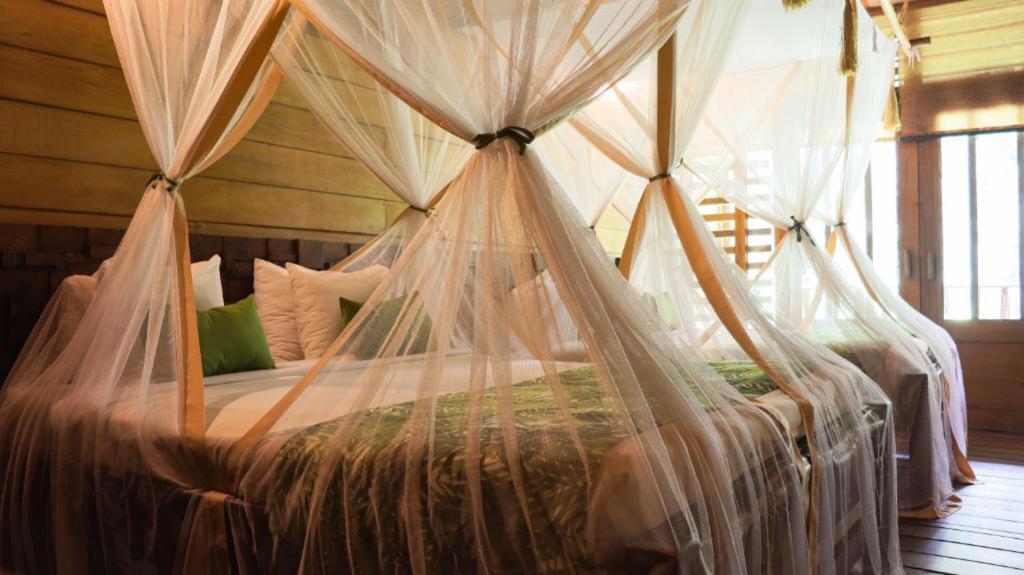 Hotel Amazon by On Vacation