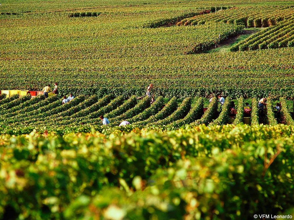 Hotel Ibis Epernay Centre-Ville