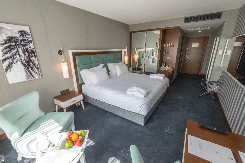 Premier Inn Sakarya