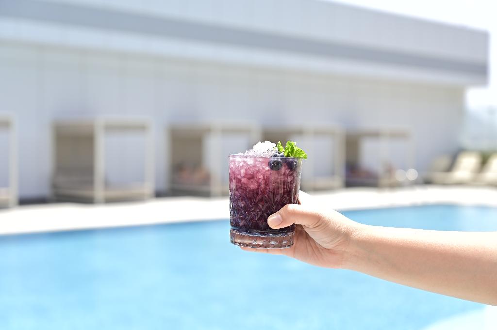 Novotel Fujairah - Pool