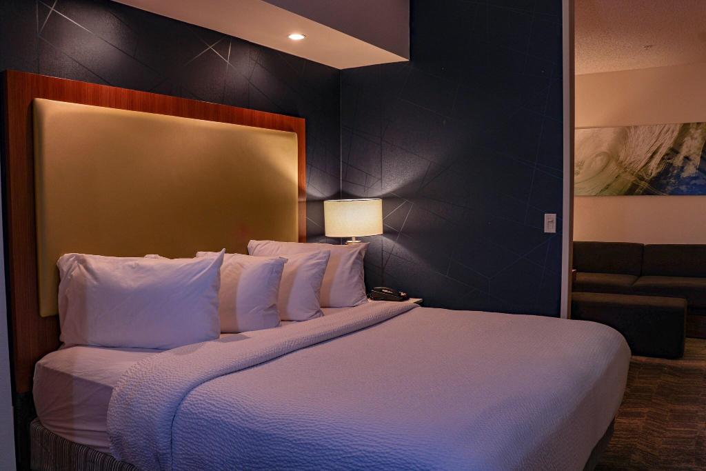 SpringHill Suites Baton Rouge North/Airport