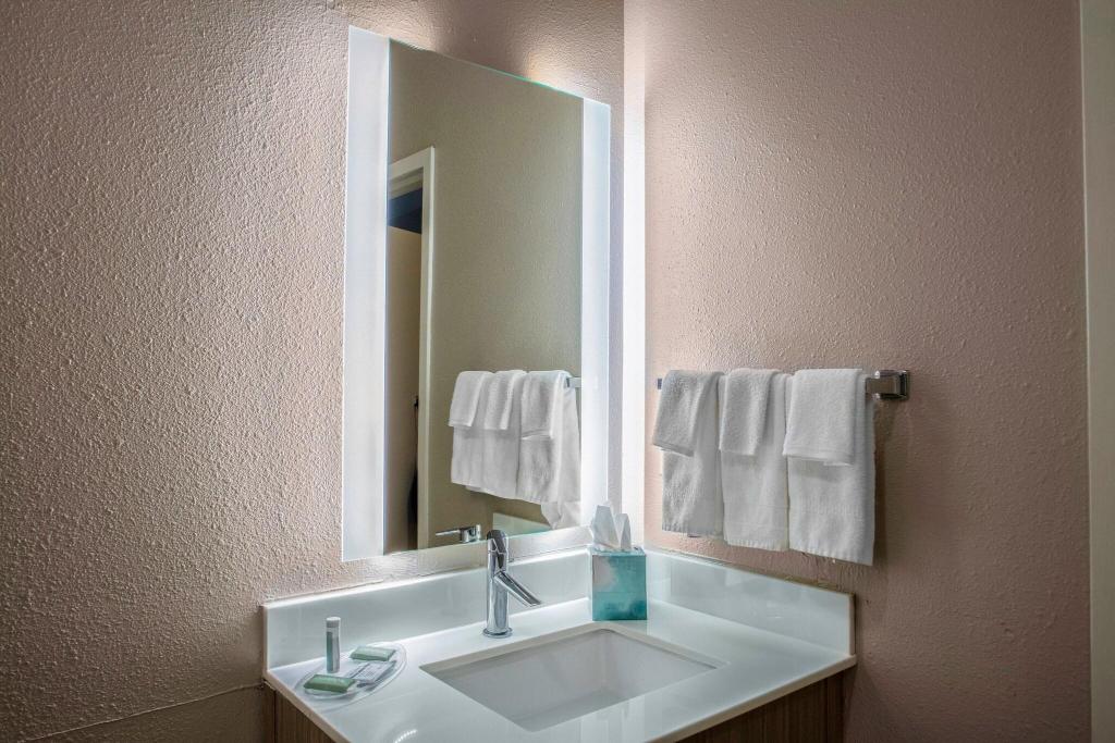 SpringHill Suites Baton Rouge South