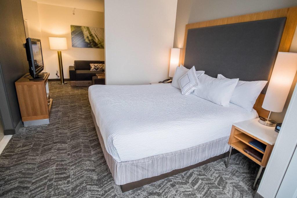 SpringHill Suites Winston-Salem Hanes Mall