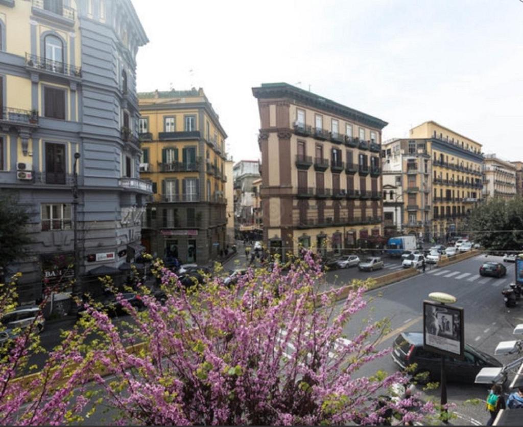 Napoli Suite