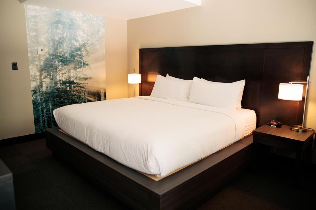 hotel-thumb