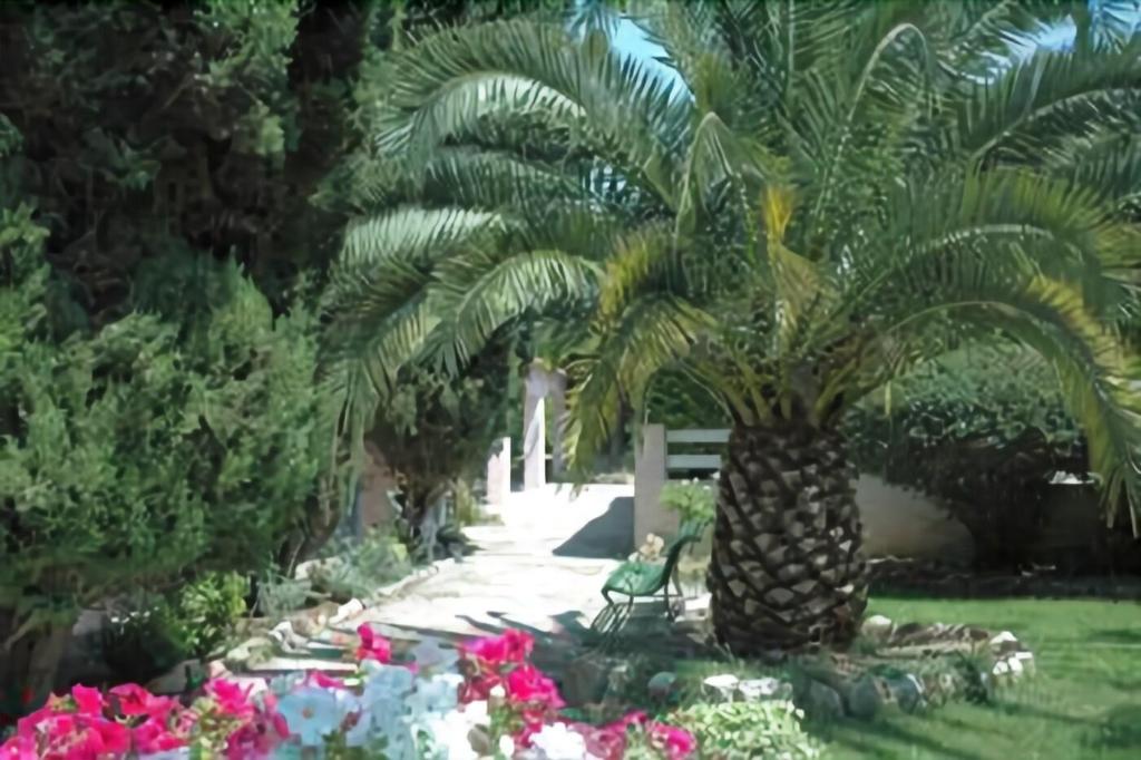 Les Liserons De Mougins