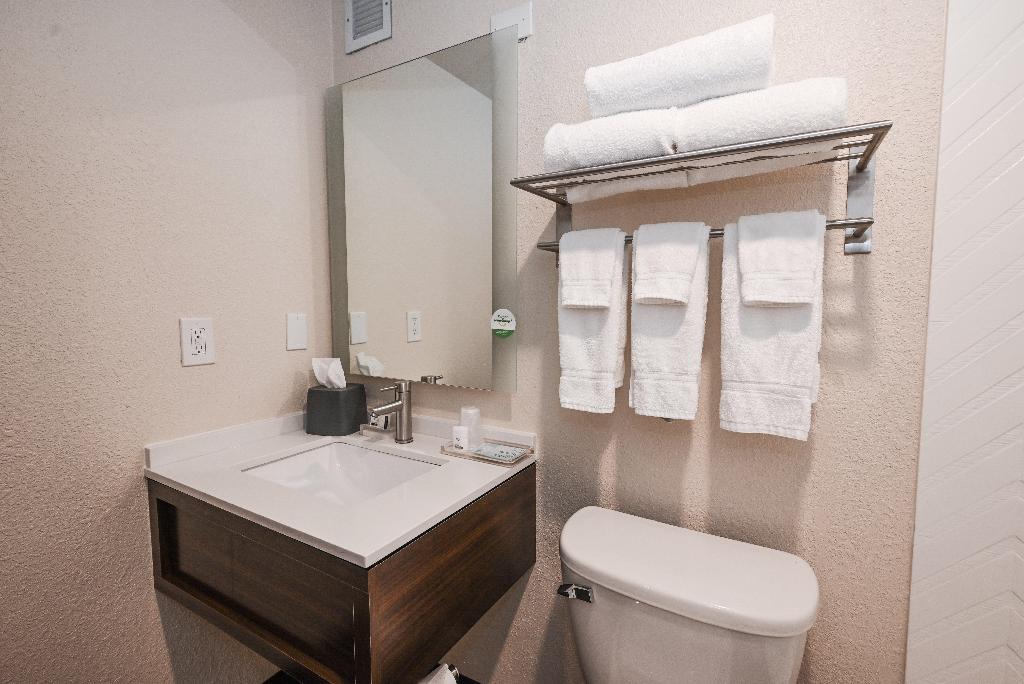 Holiday Inn Cleveland - Mayfield