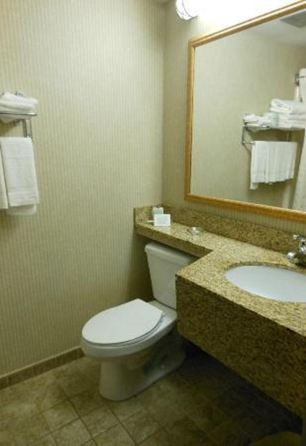 Rodeway Inn Merce