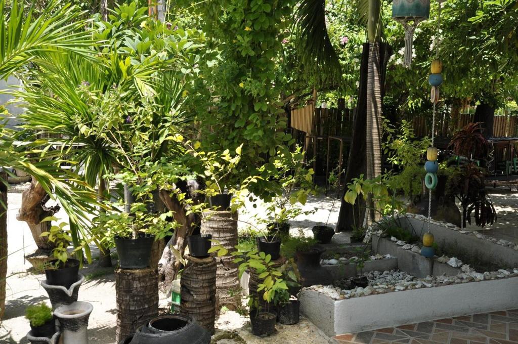 Little Mermaid Dive Resort