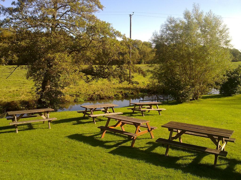 The Fox Inn - General view