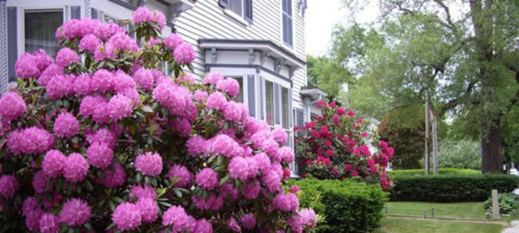 Isaiah Jones Homestead Bed & Breakfast