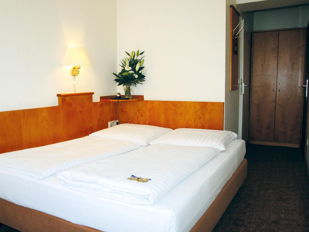 Hotel Ahl Meerkatzen
