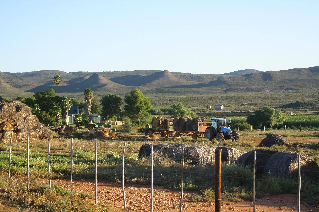 Hotel De Denne Country Guest House, Südafrika, Oudtshoorn. Großes 1