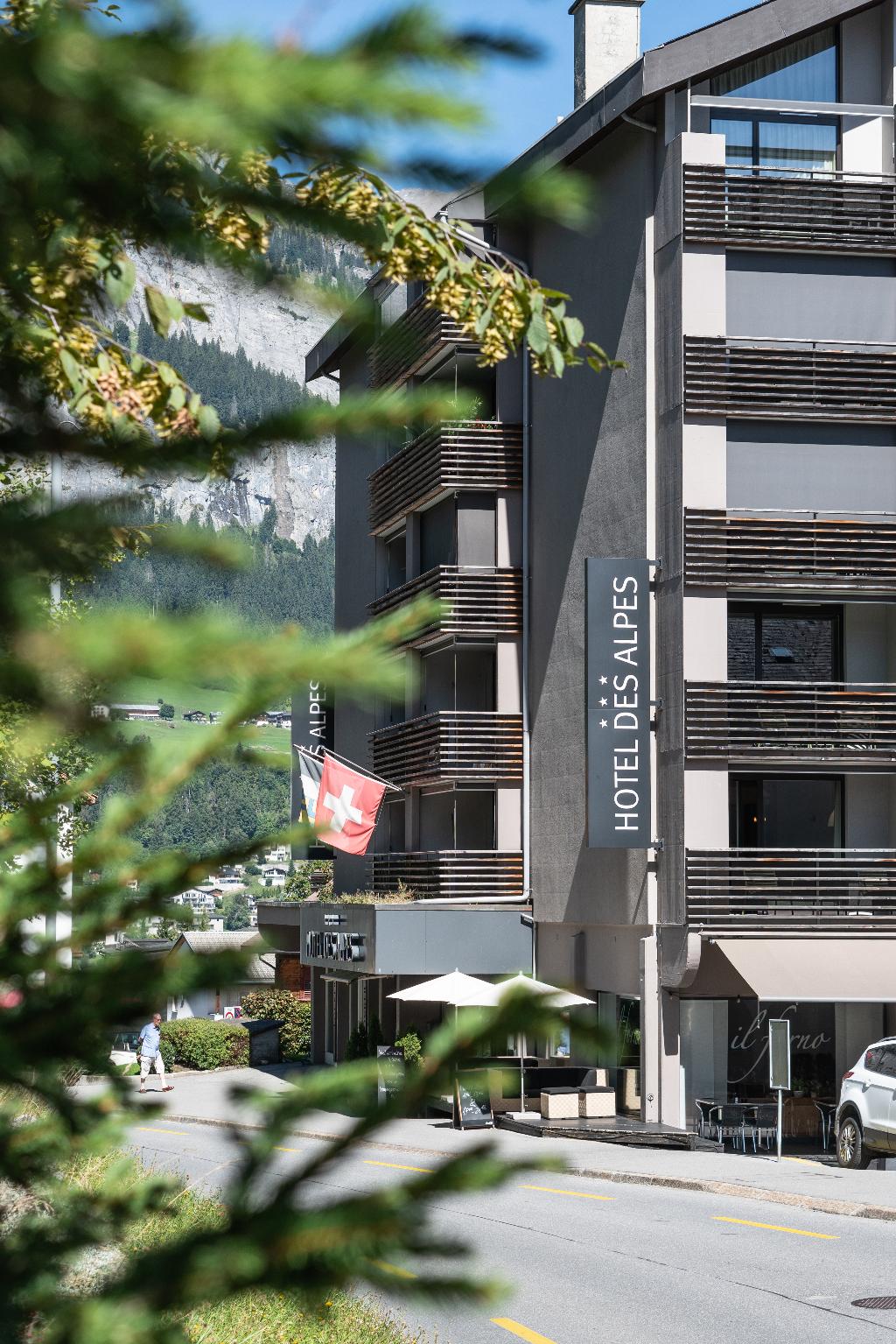 Hôtel des Alpes