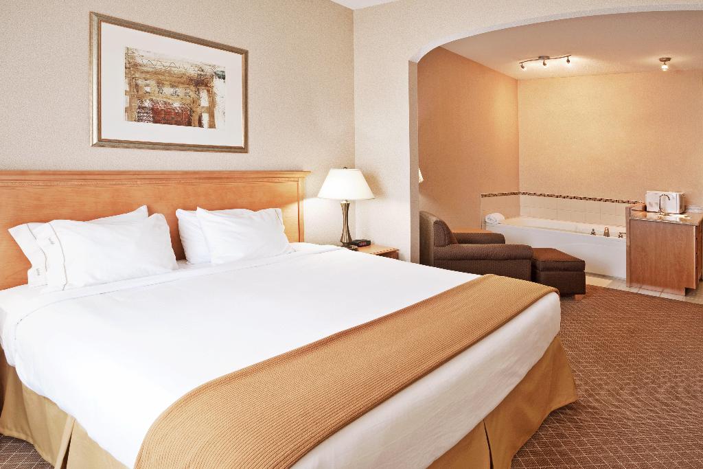 Holiday Inn Express Hotel & Suites Chesterfield