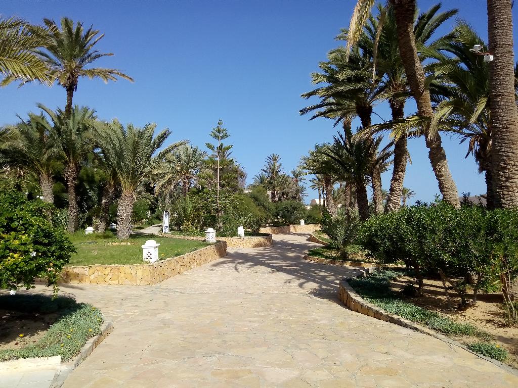 Hotel Zita Beach Resort, Tunesien, Zarzis. Großes 92