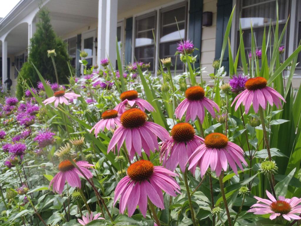Glass House Inn