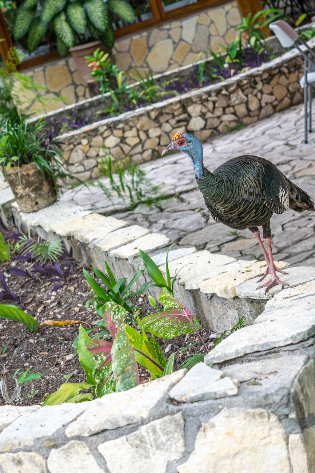 Hotel Jaguar Inn Tikal