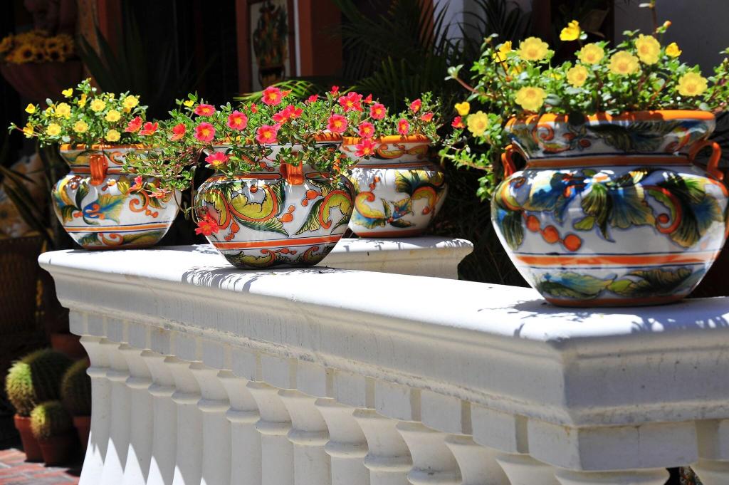 Blue Seas Courtyard