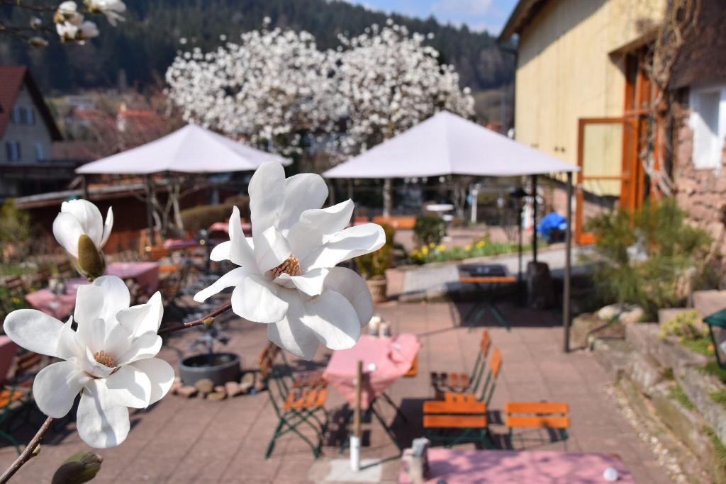 Waldknechtshof