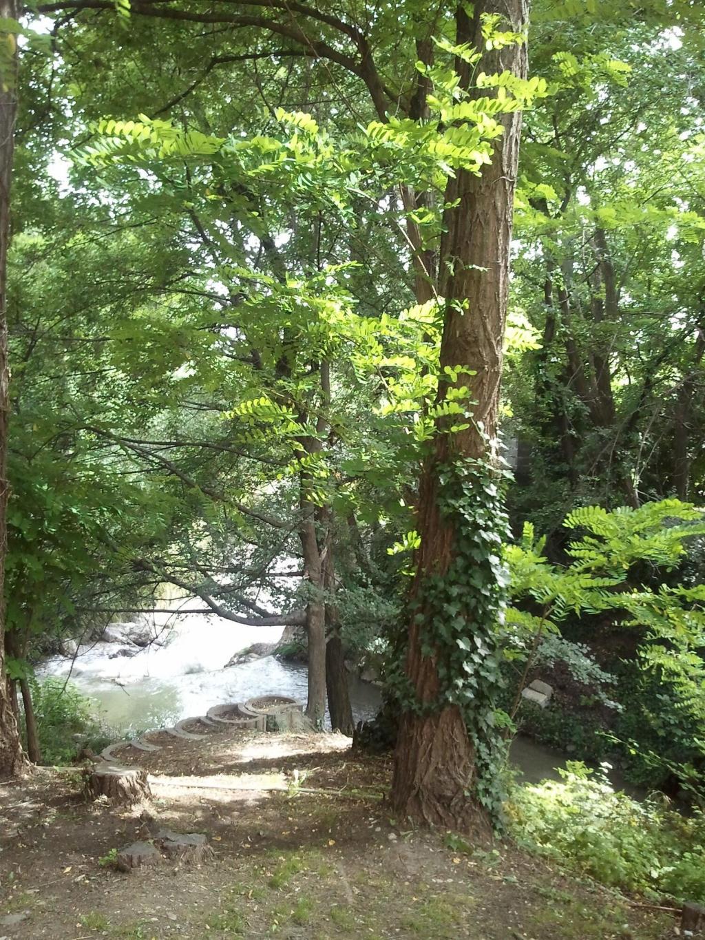 Ptit Dej-Hotel Manosque-Belalp